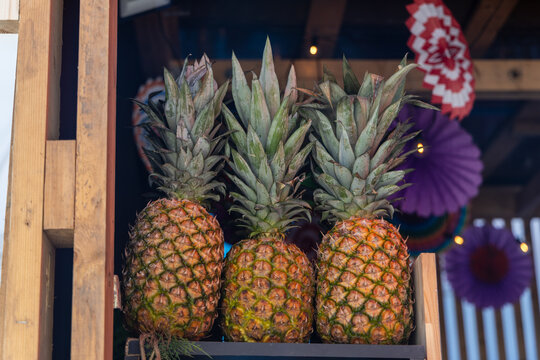 Three fresh whole pineapples in row on wooden stall shelf