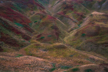 High angle shot of rolling autumn hills showing colorful red and green moss and grasses. Ideal texture and nature pattern background for environmental, travel, and conservation themes. © marcodenaro