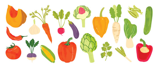 Naklejka premium Fresh Vegetable Collection Vector with Pumpkin, Carrot, Radish, Eggplant, Tomato, Corn, Artichoke, Cucumber and Leafy Greens for Healthy Food Illustration, Kitchen Decor, Grocery Print, Recipe Design