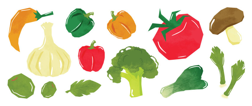 Modern Vegetable Collection Vector with Pumpkin, Garlic, Pepper, Tomato, Mushroom, Broccoli, Cabbage, Beetroot and Leafy Greens for Healthy Food Illustration, Kitchen Decor, Grocery Market Design