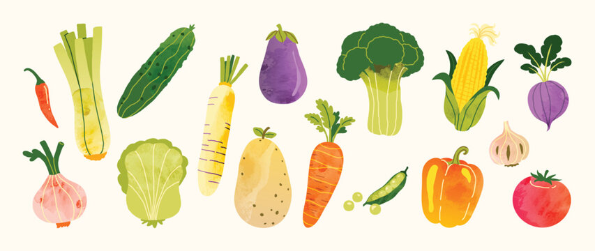 Organic Vegetable Collection Vector with Leek, Bitter Melon, Eggplant, Broccoli, Corn, Radish, Potato, Carrot, Peas, Garlic and Tomato for Healthy Food Illustration, Kitchen Print, Grocery Design