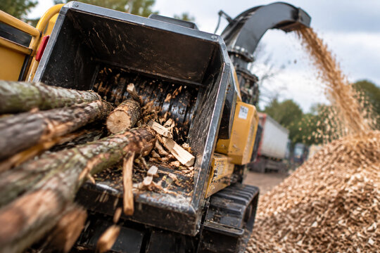 Industrial wood chipper in motion with wood pieces at its mouth and a pile of chips.