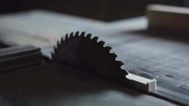 Close up circular saw blade with narrow wood strip aligned on table saw, soft side lighting on metal teeth for focused woodworking cutting