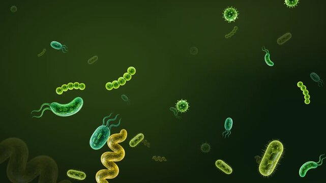 Mixed Bacteria 3D Motion Background Seamless Loop: Realistic Microorganisms Floating in Dark Green