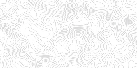 White Geographic Contour Background with Abstract Curved Relief Waves, Layered Topographic Lines, and Clean Vector Illustration © Sehejadi