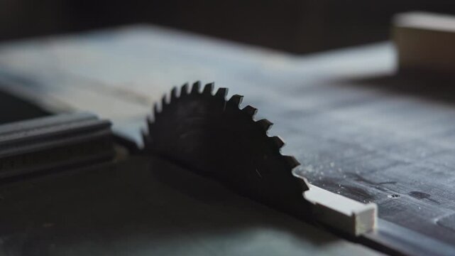 Close-up circular saw blade seated in table saw throat inside dim workshop, directional side light revealing tooth edges and worn steel texture at low angle for contrast