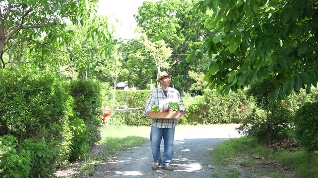 VDO 4k organic farmer checking mushrooms in local producer grower ready for shipment	
