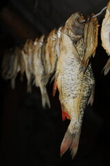 Salted dried river fish hanging on wire line for beer snack background © eliyashevskiy