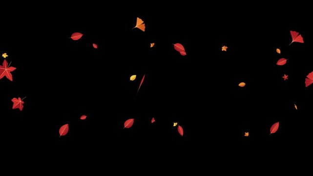 Animated autumn leaves falling and swirling in slow motion against a clean alpha background for seamless use