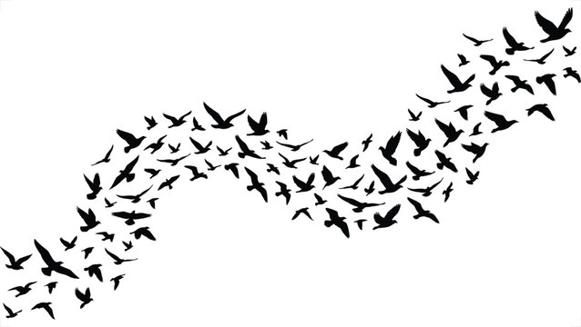 Birds Flocking Silhouette, Dynamic Movement Illustration, Black and White Design, Freedom Concept, Graphic Element