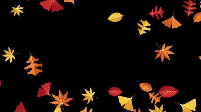 Animated flat graphic autumn leaves creating a dynamic border transition with alpha channel for seasonal video
