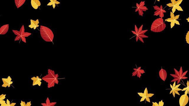 Animated autumn maple leaves pop up from bottom and right corners forming a decorative border motion background