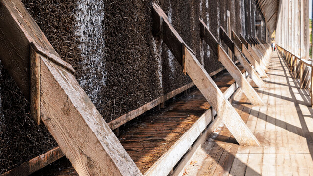 wooden construction