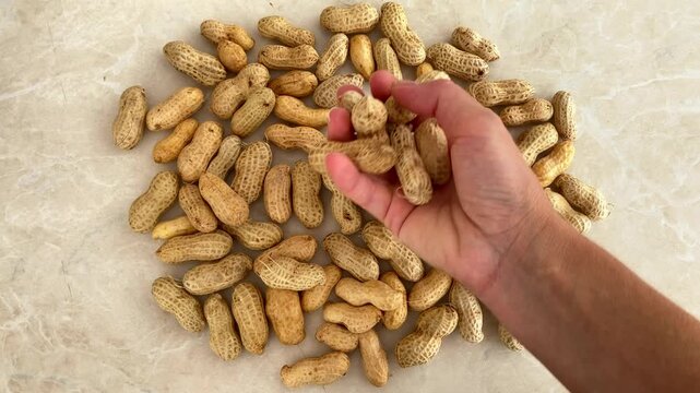 View from above. A woman&rsquo;s hand picks up a shelled peanut and shows it. The concept of protein‑rich nutrition, plant‑based foods, energy, and a healthy lifestyle