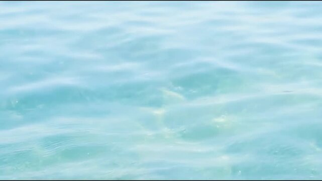 Ripples spread across the surface of bright blue water as sunlight shines down. A beach is visible in the distance, and the atmosphere is bright and