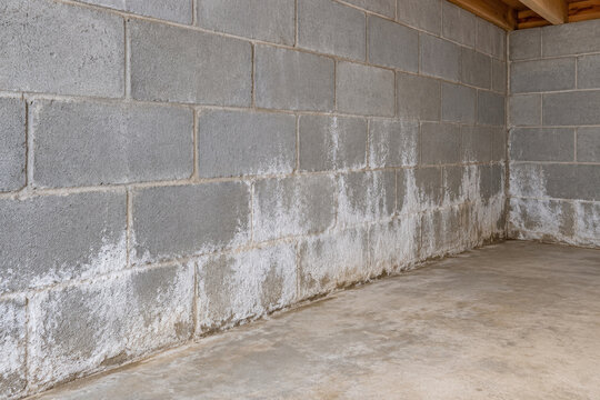 White efflorescence salt deposits rising from floor on basement block wall - foundation moisture problem and repair