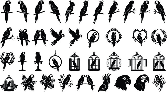 PrintBlack parrot silhouettes set with tropical ara cockatoo macaws flying sitting in cages and frames isolated on white background