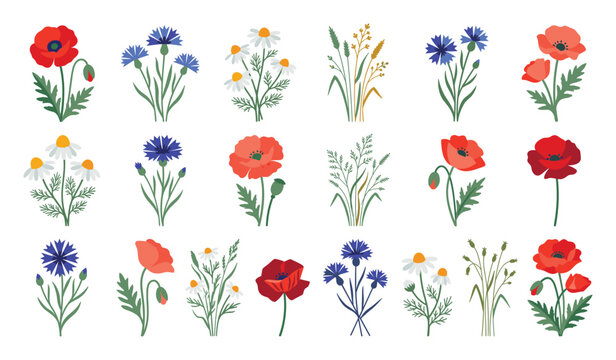 Wildflower bouquet elements with red poppies and blue cornflowers art.