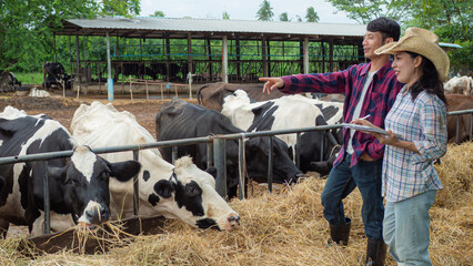 Asian Male and Female Farmers Inspecting Cows at Dairy Farm © Thawatchai Images