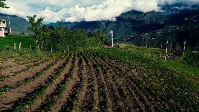Drone footage over cultivated hillside fields in Tungurahua, Ecuador, where crop rows and exposed brown soil cover a mountain slope. Green vegetation and wooded ridges border the fields, with a deep v