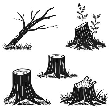 Collection of tree stumps and a fallen dead tree branch in black and white, showcasing forest deforestation and nature decay themes