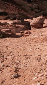 A dry, dusty landscape showing rocky surfaces and earth. The scene features various stones and dirt under bright lighting. No plants or water are visible in the surroundings.