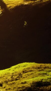 A hill covered with green grass is lit by light during the evening. Mountains are visible in the background. The scene shows natural beauty in the landscape.