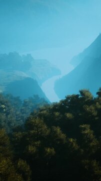Tall trees grow along a river in a valley surrounded by mountains. The scene shows morning light creating a soft atmosphere. Nature is the main focus in the landscape.
