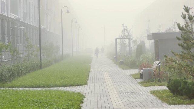 People walk along a paved path while thick fog shrouds the quiet street. A mysterious, peaceful mood settles over Pushkin, Saint Petersburg.