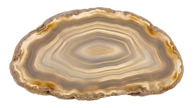 Brown agate geode slice slab on transparent background. Translucent banded chalcedony mineral rock showing concentric ring. Geological mineral specimen jewelry lapidary creates visual.