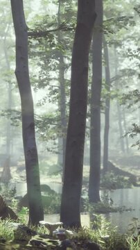 In a forest during early morning, tall trees rise above a calm body of water. Fog covers the ground, creating a soft, mysterious atmosphere around the tree trunks and water.