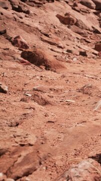 The scene shows a rocky and dry terrain with various stones scattered across the ground. The sunlight illuminates the surface, revealing its texture.