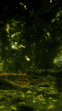 Sunlight shines through the trees in the forest, creating a warm glow on the ground. Leaves and plants cover the earth, and shadows play among the trunks of tall trees.