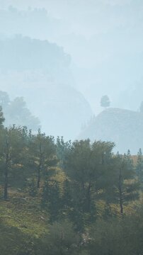 Early morning scene shows fog enveloping rolling hills and scattered trees. The landscape appears soft and muted due to the low visibility caused by the fog.