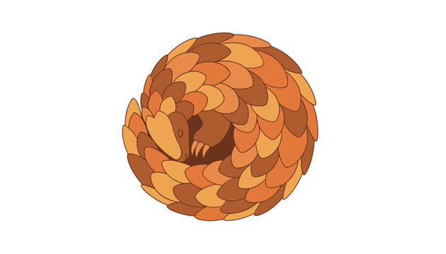 Beautiful illustration of an endangered pangolin curled tightly into a protective spherical ball showing its scales.