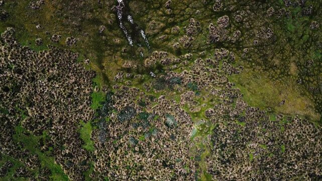 Aerial drone footage presents a broad Andean highland grassland in Ecuador, patterned with green and tawny vegetation, low shrub-like patches, and narrow winding water channels. Rolling slopes and sha