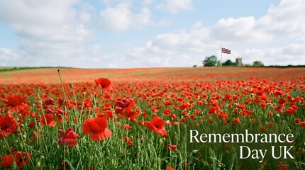 Fototapeta premium A poignant field of vibrant red poppies symbolizes remembrance day in the uk honouring the fallen and those who served in conflicts