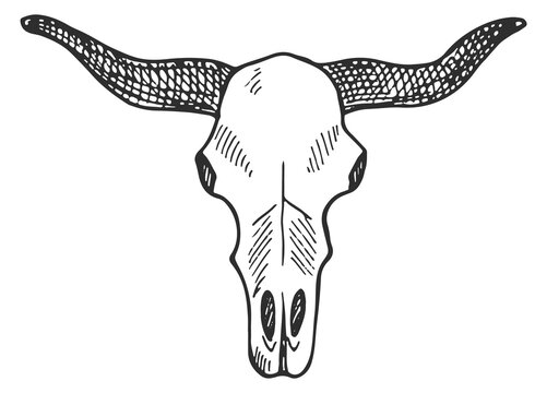 A skull with horns on it