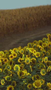 Bright yellow sunflowers fill the field, reaching towards the sky. A dirt path runs through the scene, leading into the open countryside. The sun shines overhead in the blue sky.