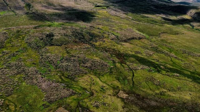 Aerial drone view of a narrow river winding between pale gravel banks and green highland vegetation in the Andes of Ecuador. Grassland and low shrubs create a varied natural texture around the dark wa