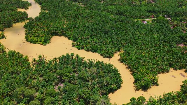 Aerial view of a muddy river overflowing through a dense palm oil plantation in Langkat, North Sumatera, Indonesia.