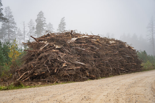 Large pile of cut branches and woody debris stands beside an unpaved forest road in fog, illustrating collected logging residues at a roadside stage of forestry operations