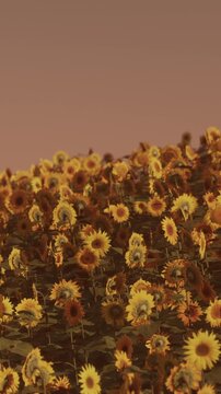 A vast field filled with sunflowers stretches across the landscape during sunset. The flowers turn toward the fading light, creating a colorful display of yellow and orange.