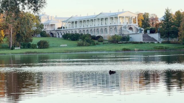 The majestic Cameron Gallery stands gracefully beside a tranquil lake. A duck swims peacefully on calm water reflecting green trees. Experience serene beauty Catherine Park, Pushkin, Saint Petersburg.