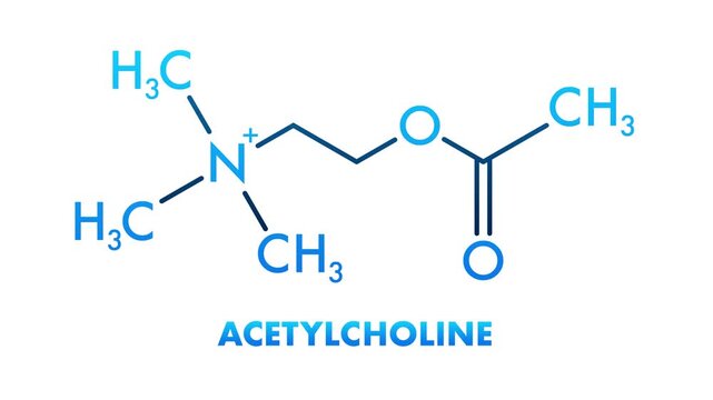 Acetylcholine neurotransmitter molecule chemical structure animation