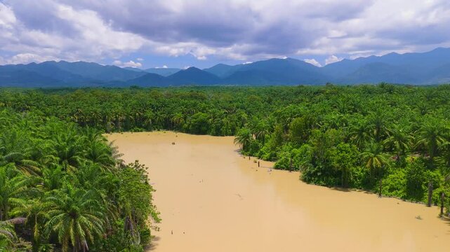 Aerial view of a muddy river flowing through a lush palm oil plantation with distant mountains under a cloudy sky in Langkat, North Sumatera, Indonesia.