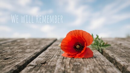 Fototapeta premium Honoring the fallen a remembrance day reflection on sacrifice courage and the enduring legacy of those who served in the united kingdom