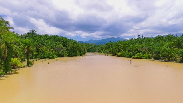Aerial view of a muddy tropical river flowing through lush palm tree plantations under a cloudy sky in Langkat, North Sumatera, Indonesia.