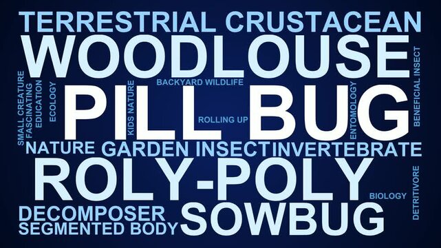 Pill Bug Word Cloud