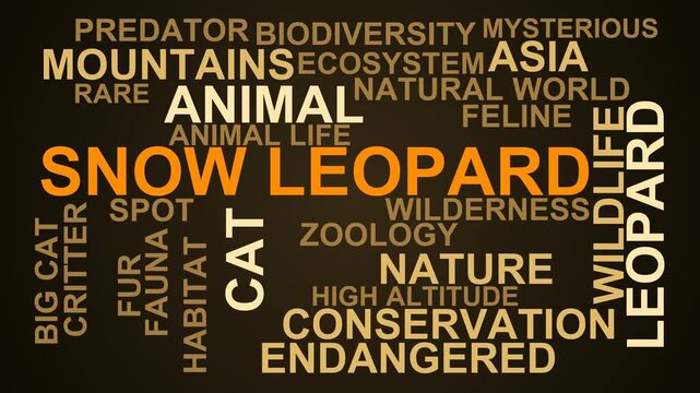 Snow Leopard Word Cloud